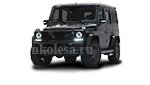 Mercedes G-Klasse (W463)