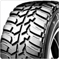 ����������� ���� Dunlop GrandTrek MT2