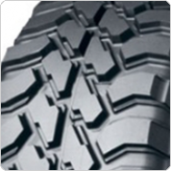 ����������� ���� Dunlop GrandTrek MT1