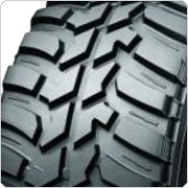 ����������� ���� Dunlop GrandTrek MT2