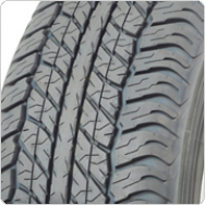 ����������� ���� Dunlop GrandTrek AT20