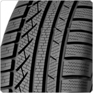 ������ ���� Continental ContiWinterContact TS 810