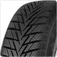 ������ ���� Continental ContiWinterContact TS 800