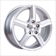 ����� ����� ���� �����