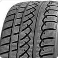 ������ ���� Yokohama AVS Winter V901