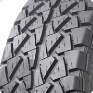 ����������� ���� Goodyear Wrangler AT/R