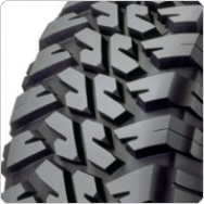 ����������� ���� Goodyear Wrangler MT/R